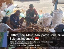 Ringankan Beban Petani, Babinsa Mare Kodim 1407/Bone Gotong Royong Kupas Jagung Bersama Warga