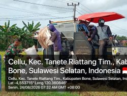 TNI Peduli Pertanian, Babinsa Koramil 07/Tanete Riattang Pantau Panen Padi