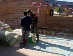 Dukung Petani & Ketahanan Pangan, Babinsa Tonra Kodim Bone Pantau Penimbangan Gabah Di Dusun Masalle
