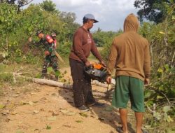 Peduli Lingkungan & Keselamatan Pengguna Jalan, Babinsa Salomekko Bersama Warga Pangkas Pohon Dan Semak Belukar