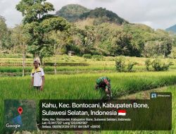 Pastikan Tanaman Tumbuh Optimal, Babinsa Koramil 1407-20/Bontocani Kodim Bone Pantau Sawah Warga di Kelurahan Kahu
