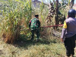 Damkar dan TNI Padamkan Kebakaran Lahan di Bone, Warga Kembali Beraktivitas Normal