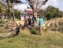 Babinsa Koramil Dua Boccoe Dan Warga Kompak Gotong Royong, Bersihkan Pohon Di Sekitar Lapangan Sepak Bola Desa Cabbeng