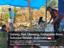 Turun Langsung Ke Lahan, Babinsa Koramil 05/Ulaweng Kodim 1407/Bone Berikan Pendampingan Kepada Petani