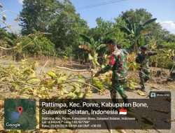Cegah Gangguan Di Jalan, Babinsa Koramil 1407-10/Ponre Bersama Warga Laksanakan Kerja Bakti Di Desa Pattimpa