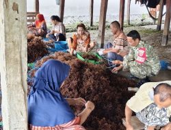Berbaur Bersama Petani Rumput Laut, Babinsa Barebbo Kodim Bone Berikan Motivasi Untuk Tingkatkan Semangat Dan Produktivitas