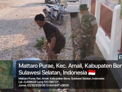 Turun Langsung Di Tengah Warga, Babinsa Ulaweng Kodim Bone Perkuat Kebersamaan Melalui Kerja Bakti Di Desa Mattaropurae