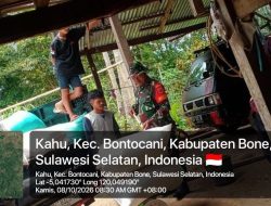 Dukung Petani, Babinsa Ramil 20 Bontocani Kodim 1407/Bone Saksikan Penimbangan Gabah Hasil Panen