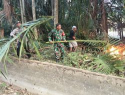 Sigap Di Tengah Kobaran Api, Babinsa Koramil 1407-07/Tanete Riattang Turun Langsung Bantu Pemadaman Di Kelurahan Biru