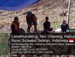 Perkuat Sektor Pertanian, Babinsa Koramil 05/Ulaweng Kodim 1407 Bone Dampingi Masyarakat Panen Jagung di Lamakkarseng