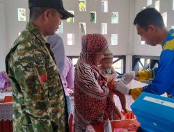 Babinsa Ramil 18 Kajuara Kodim 1407/Bone Dekat Dengan Warga, Pendampingan Posyandu Jadi Wujud Kepedulian Sosial