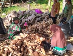 Babinsa Ramil 15 Mare Kodim Bone Bersama Petani, Gotong Royong Kupas Jagung Di Desa Batu Gading